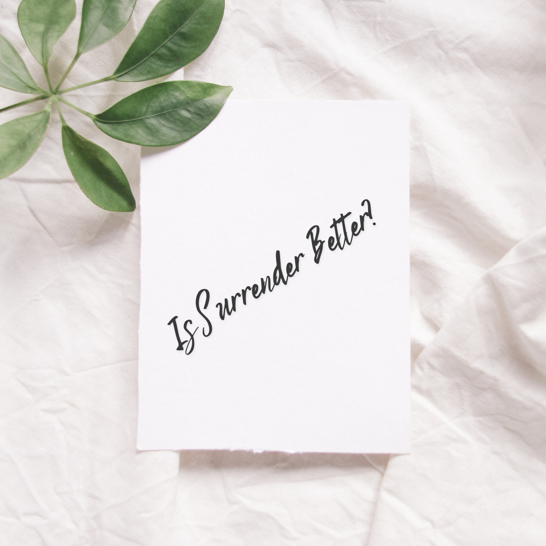 Is Surrender the Better Way? – God's Word Gives Hope
